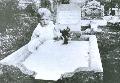 Mrs. Andrews 1947 Ausztrliban a Gatton Queensland temetjben fotzta.  A sron gy tnik egy kislny van. A kpet eredetisgt soha nem tudtk megcfolni.